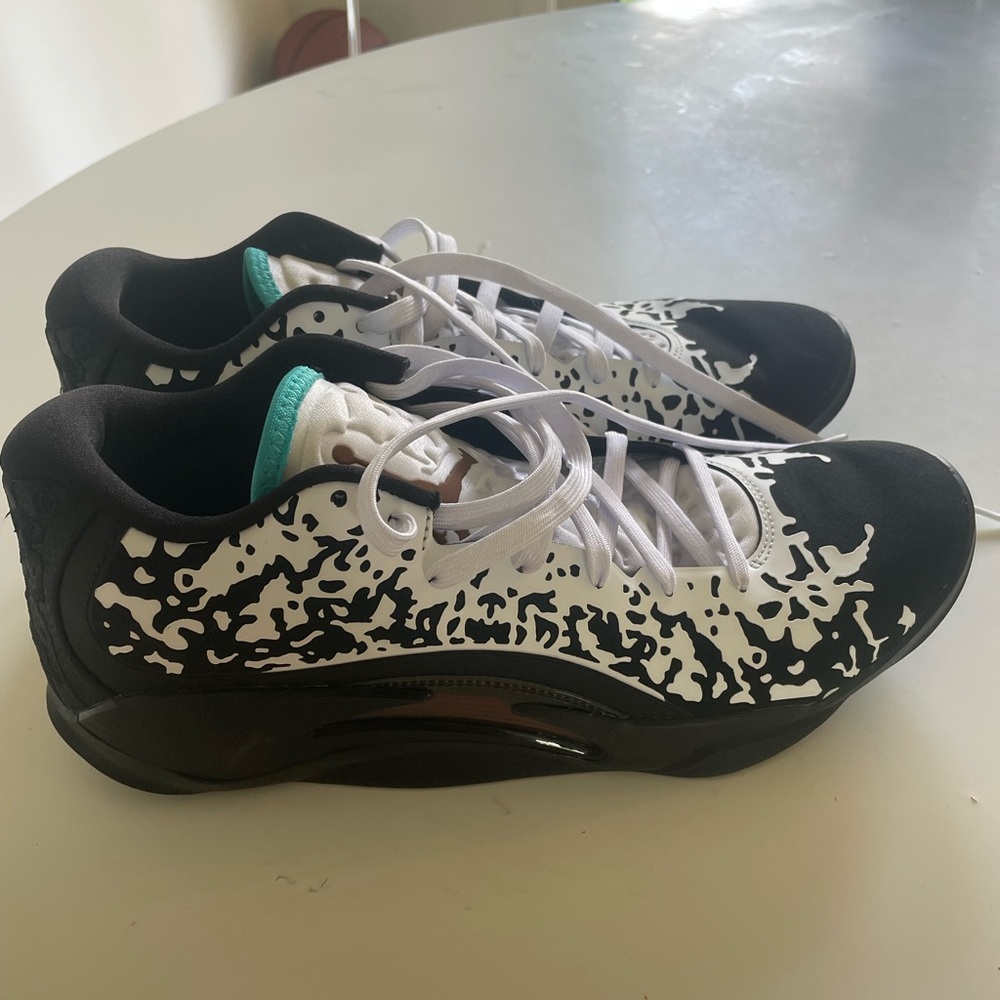 Nike Jordan Zions size 10.5 Men’s